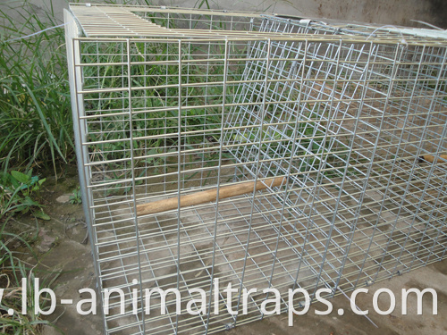 Live Animal Humane Trap Cage Catch and Release Rats Mouse Mice Rodents Cage